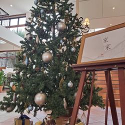 ディアステージつくばフォレストテラスの写真16枚目