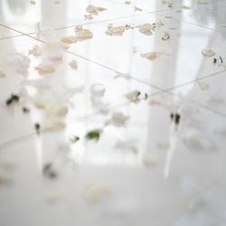 アヴァンセリアン大阪の写真26枚目