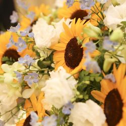 ザ・ミーツ マリーナテラスの写真35枚目