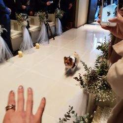 アクアデヴュー佐賀スィートテラスの写真31枚目