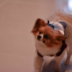 アクアデヴュー佐賀スィートテラスの写真8枚目