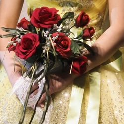 ザ・ベイスイート 桜島テラスの写真14枚目