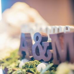 ザ・カワブンナゴヤの写真1枚目