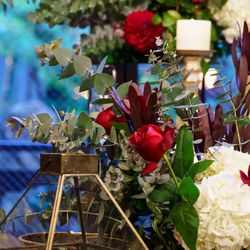 ザ・カワブンナゴヤの写真17枚目