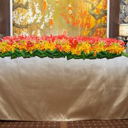 クラシカ表参道の写真1枚目