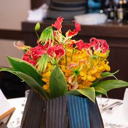 クラシカ表参道の写真20枚目