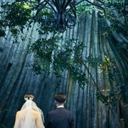 クラシカ表参道の写真33枚目