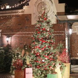 キャメロットヒルズの写真33枚目