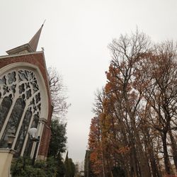 キャメロットヒルズの写真12枚目