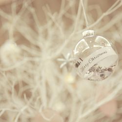 キャメロットヒルズの写真23枚目