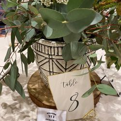 TRUNK HOTELの写真29枚目