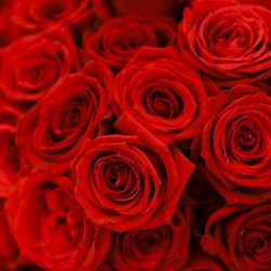 ノートルダム神戸の写真7枚目