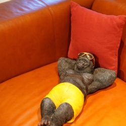 TRUNK HOTELの写真32枚目