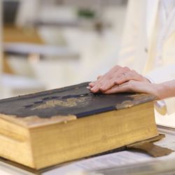 ノートルダム神戸の写真8枚目