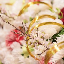 ホテル雅叙園東京の写真10枚目