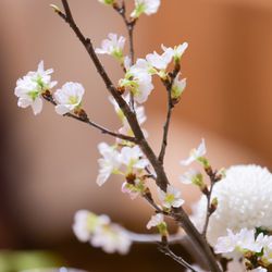 ホテル雅叙園東京の写真32枚目