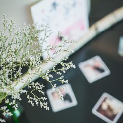 SOLA KOBEの写真9枚目