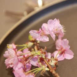 TRUNK HOTELの写真36枚目