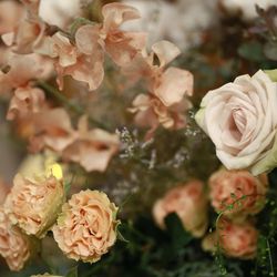 TRUNK HOTELの写真33枚目