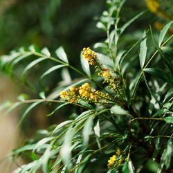 ザ・ガーデンオリエンタル大阪の写真12枚目