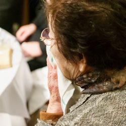 ザ・ガーデンオリエンタル大阪の写真26枚目