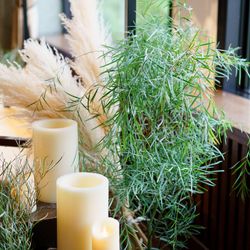 ザ・ガーデンオリエンタル大阪の写真34枚目