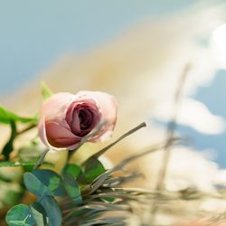 ザ・ガーデンオリエンタル大阪の写真32枚目