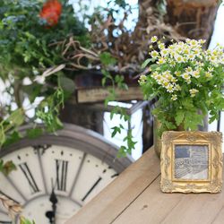 ララシャンス広島迎賓館の写真29枚目