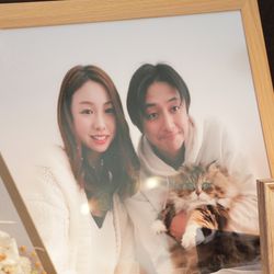 葉山庵　Ｔｏｋｙｏの写真6枚目