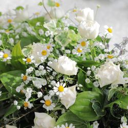 葉山庵　Ｔｏｋｙｏの写真15枚目