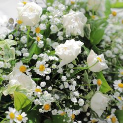 葉山庵　Ｔｏｋｙｏの写真14枚目