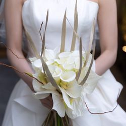 クラシカ表参道の写真1枚目