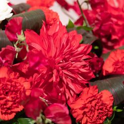 ONE STATION HOTEL KUMAMOTOの写真12枚目