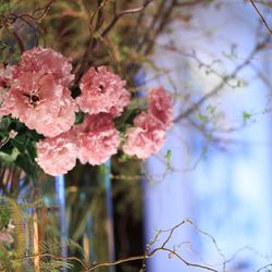 パレスホテル東京の写真19枚目