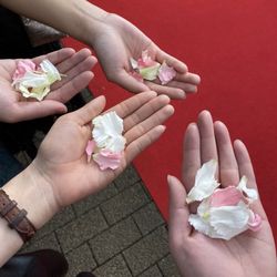 シェラトン・グランデ・トーキョーベイ・ホテルの写真12枚目