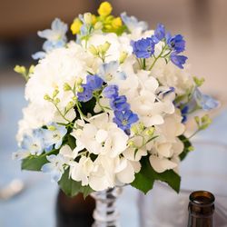 ザ・ベイスイート 桜島テラスの写真25枚目