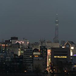ルーキスの写真21枚目