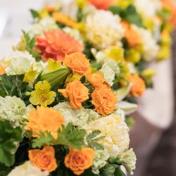 ルーキスの写真13枚目