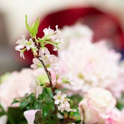 KOTOWA 鎌倉 鶴ヶ岡会館の写真29枚目