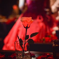 ザ・ピーク プレミアムテラスの写真34枚目