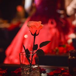 ザ・ピーク プレミアムテラスの写真18枚目