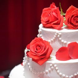 ザ・ピーク プレミアムテラスの写真28枚目