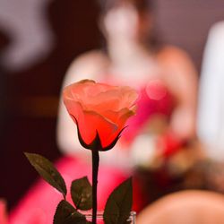 ザ・ピーク プレミアムテラスの写真33枚目