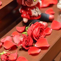 ザ・ピーク プレミアムテラスの写真8枚目