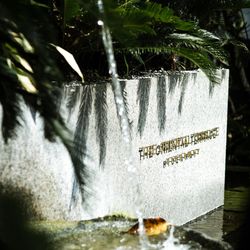 ジ・オリエンタルテラス ハイダウェイの写真7枚目