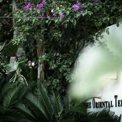 ジ・オリエンタルテラス ハイダウェイの写真31枚目