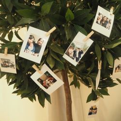 ストリングス ウエディングヒルズの写真17枚目