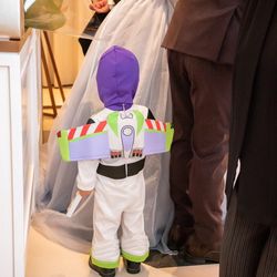 ザ・ベイスイート 桜島テラスの写真10枚目