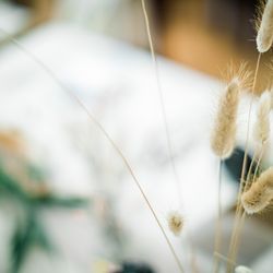 ヴァンドール柴園の写真7枚目