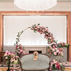 レストランひらまつ レゼルヴの写真28枚目